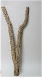 Decorative Cork Tronchos Thin Branched 100cm Zubehör für Reptilienterrarium