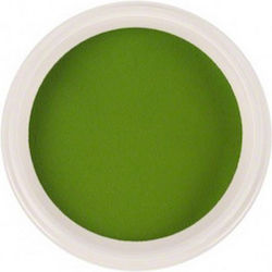 Trendy Color Cosmetics Σκόνη Ακρυλικού σε Πράσινο Χρώμα 5gr 3099