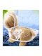 Transparent Waterproof Dog Coat with Hood with 40cm Back Length