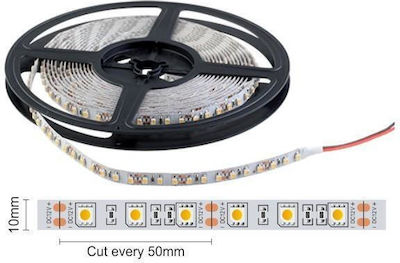 Spot Light Ταινία LED Τροφοδοσίας 12V με Ψυχρό Λευκό Φως Μήκους 1m και 60 LED ανά Μέτρο SMD5050