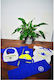 Set Trening pentru Copii Albastru
