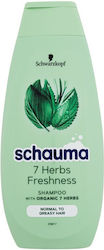 Schwarzkopf Schauma 400ml