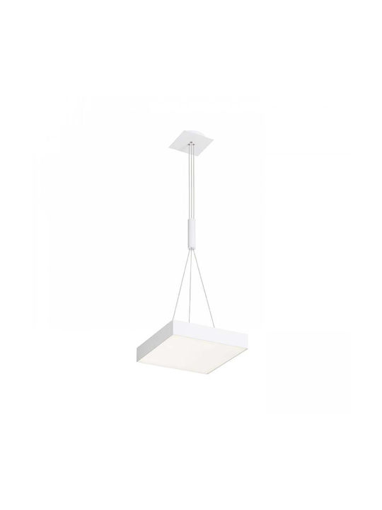 Rendl Light Studio Pendant Light LED