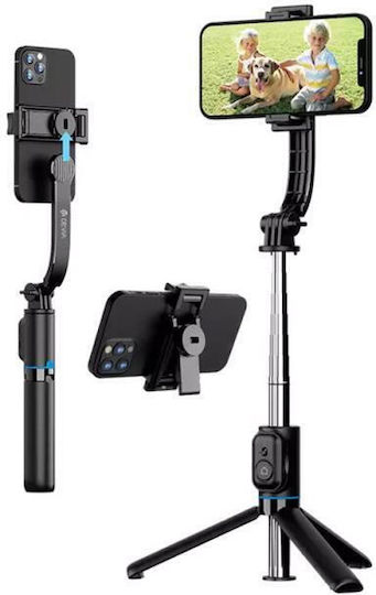 Devia Life Creation C10 Selfie-Stick Handy-Stative Bluetooth-Schwarz