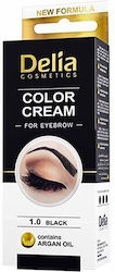 Delia Cosmetics Augenbrauen-Tönung 15ml