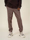 Men's Trousers in Regular Fit Brown
