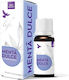 Dvr Pharm Essential Oil Mint 10ml