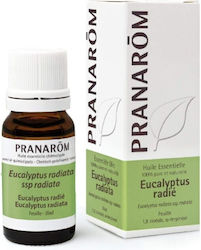 Pranarom Κρέμα Κακάο Αιθέριο Έλαιο Ευκάλυπτος 10ml Pranarom Κρέμα Κακάο Αιθέριο Έλαιο Ευκάλυπτος 10ml