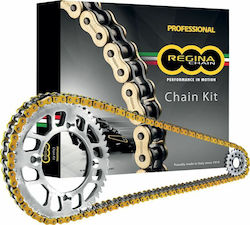 Regina Kette & Ritzel-Kit für Kawasaki KLE 500 Regina Kette & Ritzel-Kit für Kawasaki KLE 500