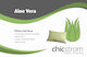 Chic Strom Perna Pat Aloe Vera Din Silicon 50x70cm
