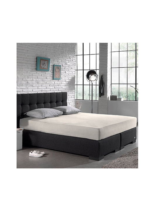 DreamHouse Sheet Super-Double with Elastic 160x200+30cm. Cream
