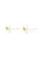 Goldsmith Earrings made of Gold 14K