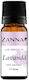 Zanna Αιθέριο Έλαιο Λεβάντα 10ml