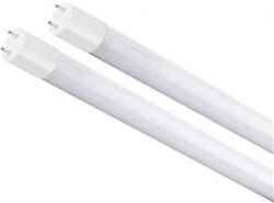 SPL LED Лампи Флуоресцентен Тип за Цокъл T8 и Форма T8 Топло бяло 2600лм 10бр