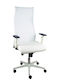 Sahuco Reclining Office Chair with Adjustable Arms White P&C