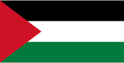 Perforated Flag of Palestine 150x100cm