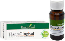 Plantextrakt 100gr 10ml Plantextrakt 100gr 10ml