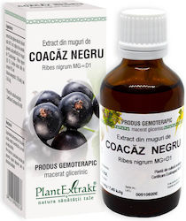 Plantextrakt 50ml Agrișă Neagră Plantextrakt 50ml Agrișă Neagră