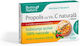 Rotta Natura Propolis 30 tablete masticabile