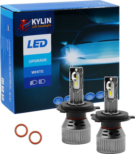 Lampen Auto H4 Canbus LED 6500K Kaltes Weiß 12V 50W 2Stück