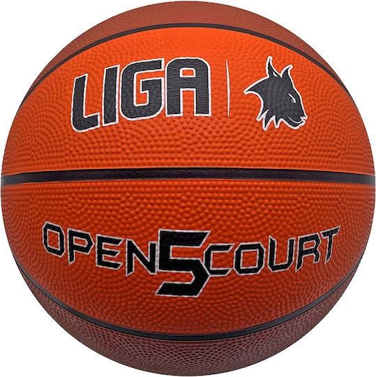 Liga Sport Open Court Basket Ball Indoor