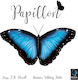 Brettspiel Papillon für 2-4 Spieler 14+ Jahre (EN) Matagot