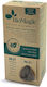BioMagic Haarfärbemittel 88.21 - Iced Milk Coffee 60ml