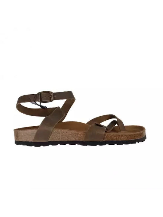 Adam's Shoes Valentina Women's Flat Sandals in Brown Color