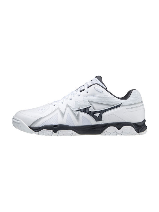 Mizuno