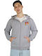 Herren Sweatshirt mit Kapuze Grau