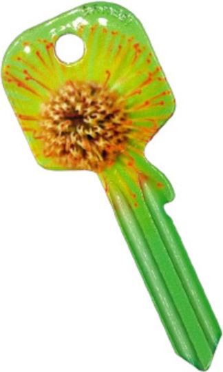 Errebi Door Key Simple Green 1pcs with Design Color Lime