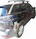 Menabo (with Roof Rack Legs) Silver