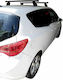 Menabo (with Roof Rack Legs and Lock) Silver