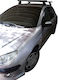 Menabo Car Roof Bars Steel for Peugeot 206 3D Set with Roof Rack Legs Silver
