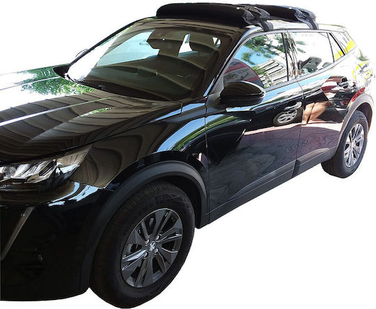 HandiWorld für Peugeot 2008 (mit Dachträgerfüßen) Silber