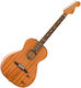 Fender Ηλεκτροακουστική Κιθάρα Highway Series Brown