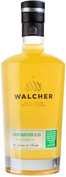 Walcher Walcher