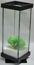 Greek Colal Fish Aquarium
