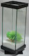 Greek Colal Fish Fisch-Aquarium mit