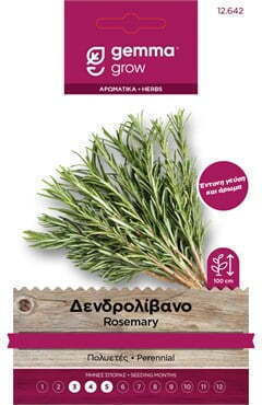 Gemma Seeds Rosemary