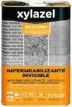 Xylazel Insulating Sealing 0.75lt Transparent