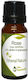 Nature & Body Ätherisches Öl Rose 10ml