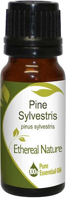 Nature & Body Essential Oil Pine 10ml