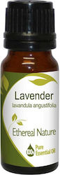 Nature & Body Essential Oil Lavender 10ml