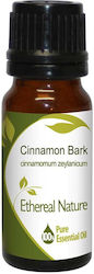 Nature & Body Essential Oil Cinnamon 10ml