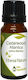 Nature & Body Κέδρος Άτλαντα Cedarwood Atlantica Αιθέριο Έλαιο Κέδρος 10ml
