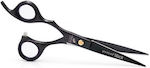 Progline Hair Cutting Trimming Scissor