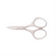 Kiepe Kiepe Nail Scissors with Straight Tip Silver 45-203635 1 Pieces