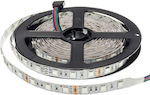 LED Strip RGB by the Meter and 60 LEDs per Meter SMD5050