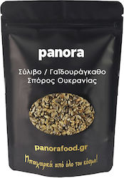 Panora Γαϊδουράγκαθο 50gr